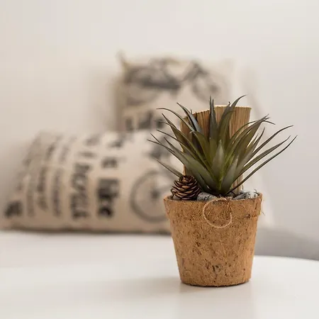 Apartment Filoxenia House *